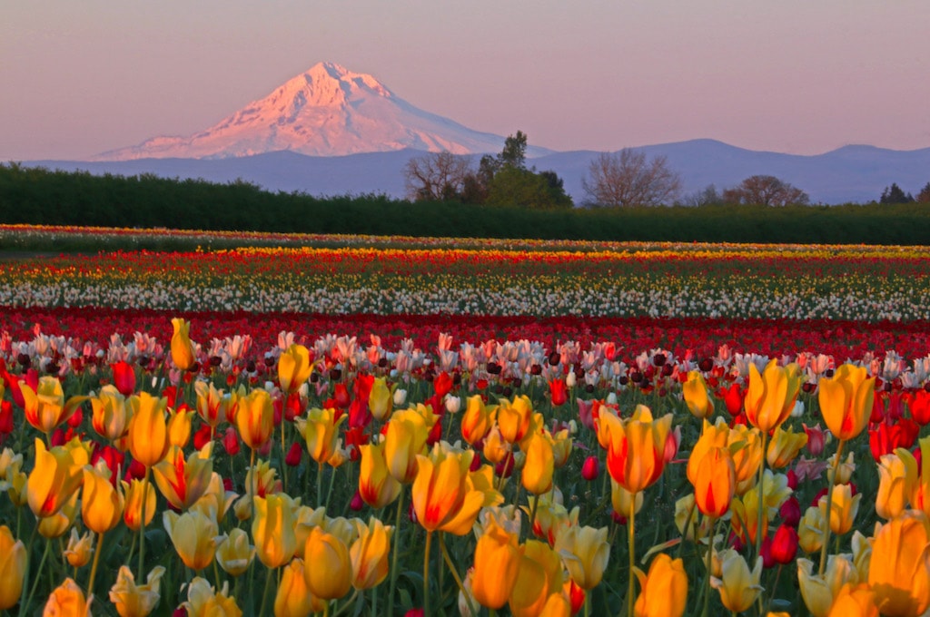City of Unity Oregon